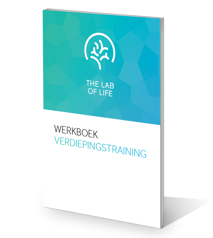 https://www.thelaboflife.com/write/Afbeeldingen1/Verdiepingstraining/Werkboekje 3D verdiepingstraining.png?preset=content